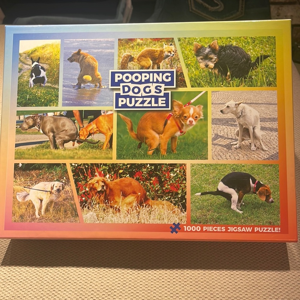 1000 piece puzzle